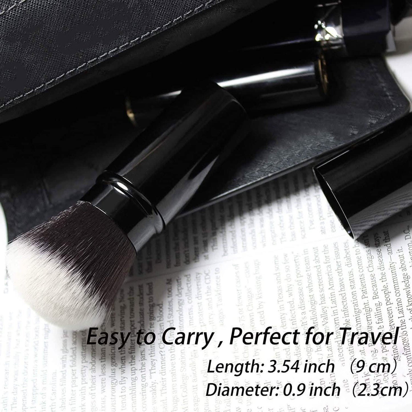 Travel Face Blush Brush DailySale