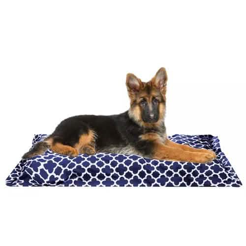 Wags 'N Whiskers Orthopedic Pet Bed Pillow - Assorted Styles DailySale