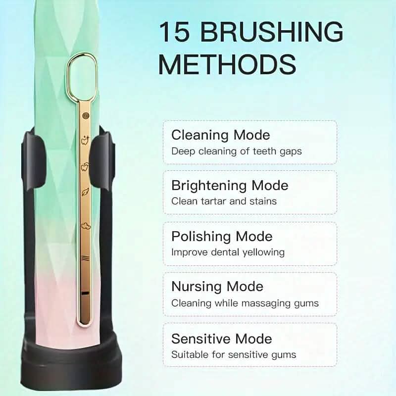 Waterproof USB Rechargeable Electric Toothbrush with 10 Replaceable Toothbrush Heads, Charger and Case DailySale