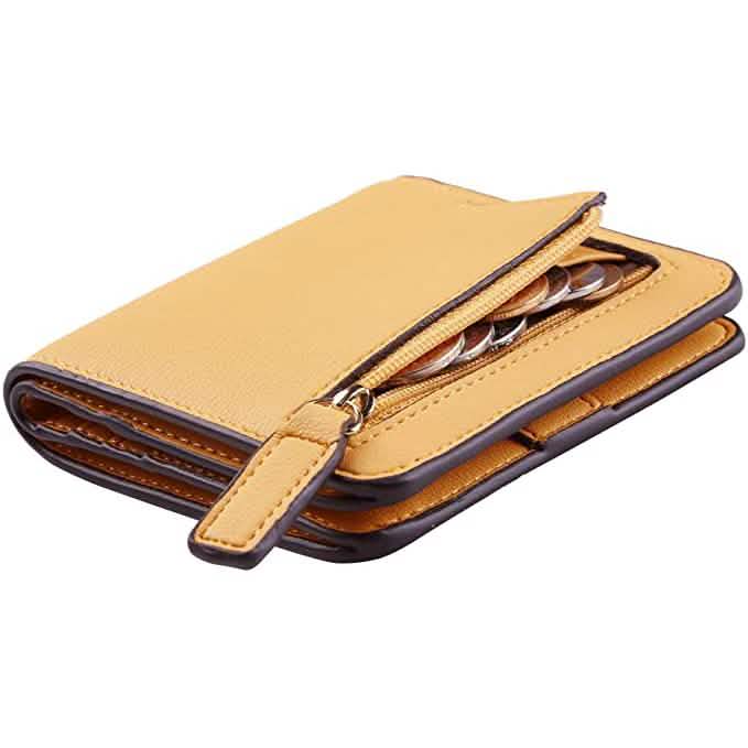 Women's RFID Blocking Mini Purse DailySale