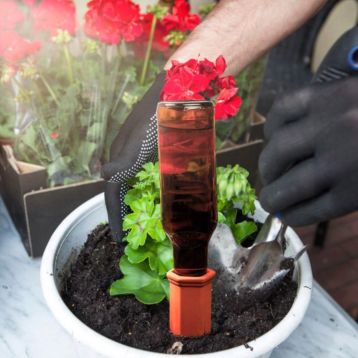 10-Pack: Spikes Teracotta Plant Watering Device DailySale