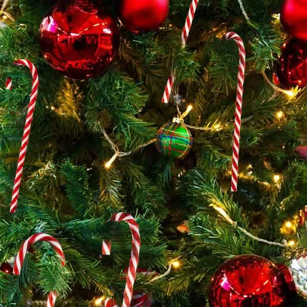 10-Piece: Plastic Candy Cane Ornaments DailySale