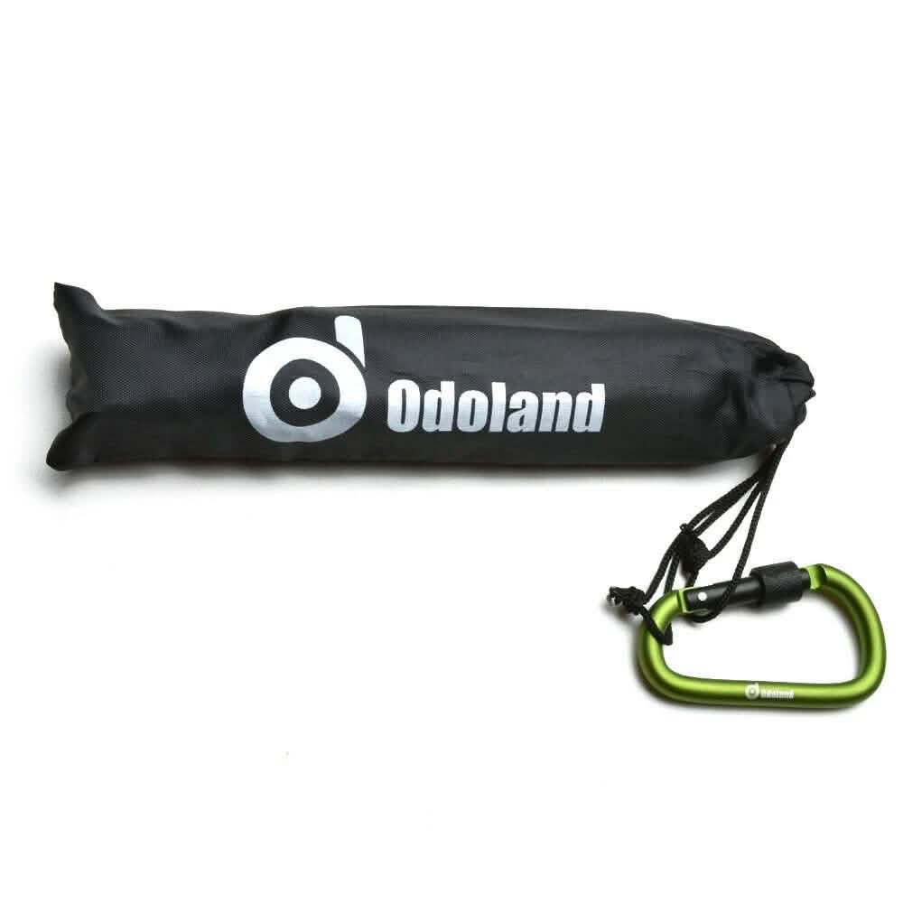 10-Pieces: Camping Superior Aluminum Tent Stake Carabiner Set DailySale