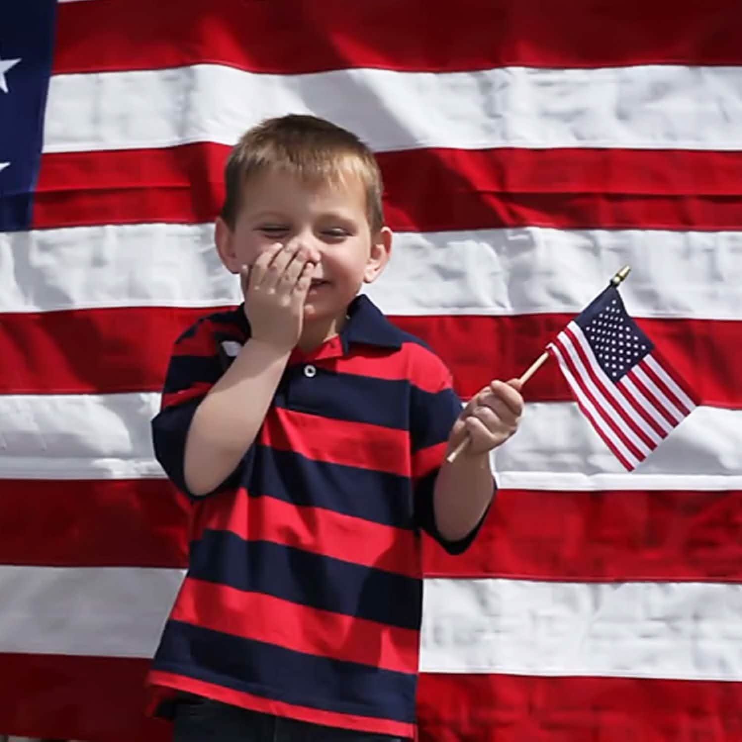100-Pack: USA 4x6 in Wooden Stick Flag DailySale