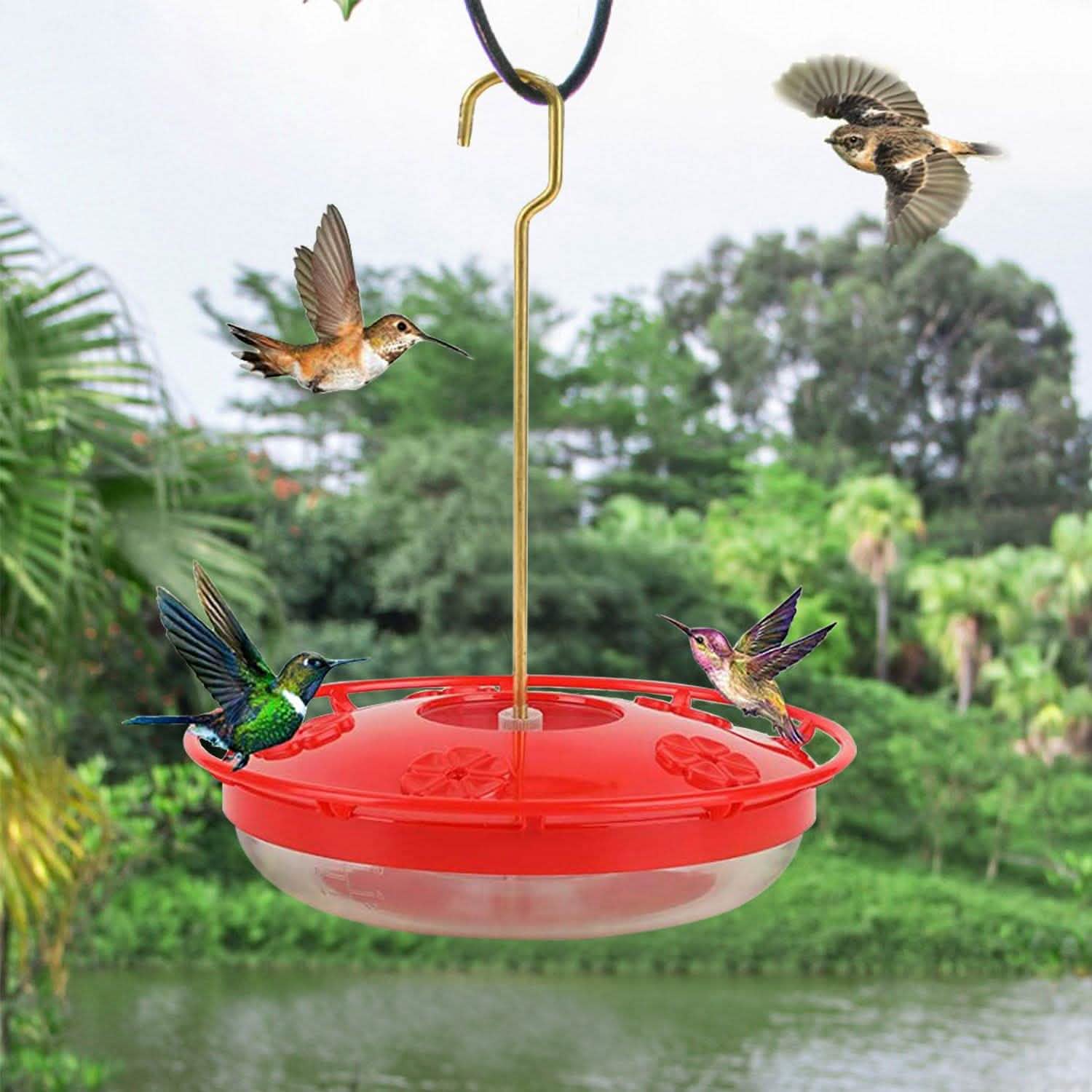 12 Oz Hummingbird Feeder DailySale