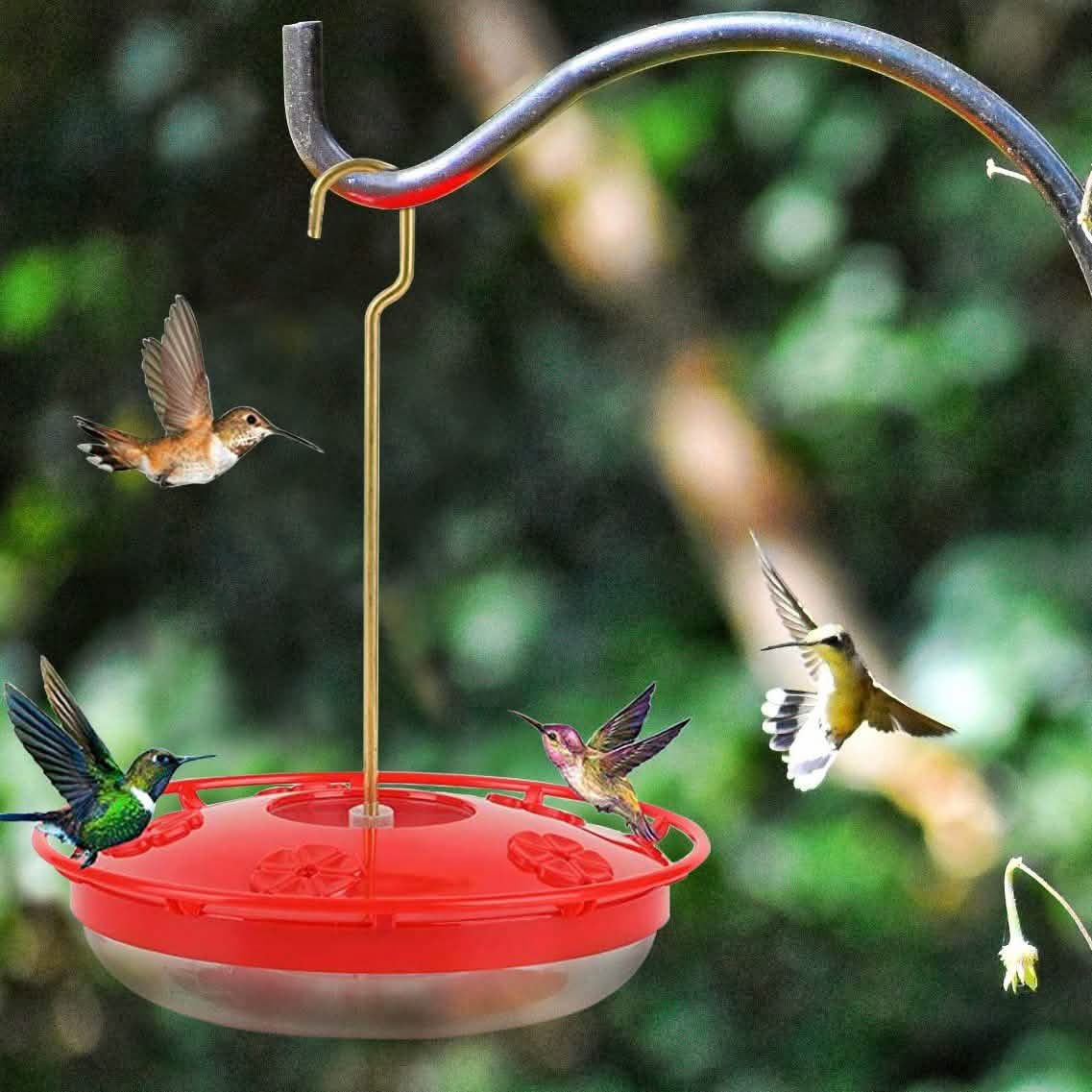 12 Oz Hummingbird Feeder DailySale