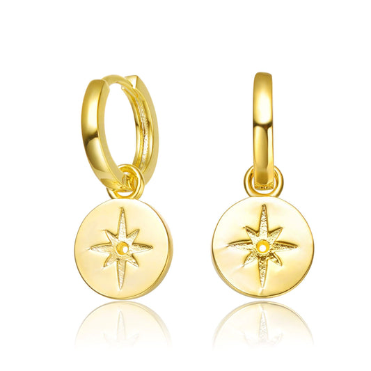 14K Gold Plated Dangle Earrings DailySale