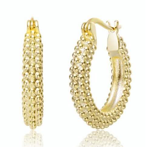 14K Gold Plated Hoop Earrings DailySale