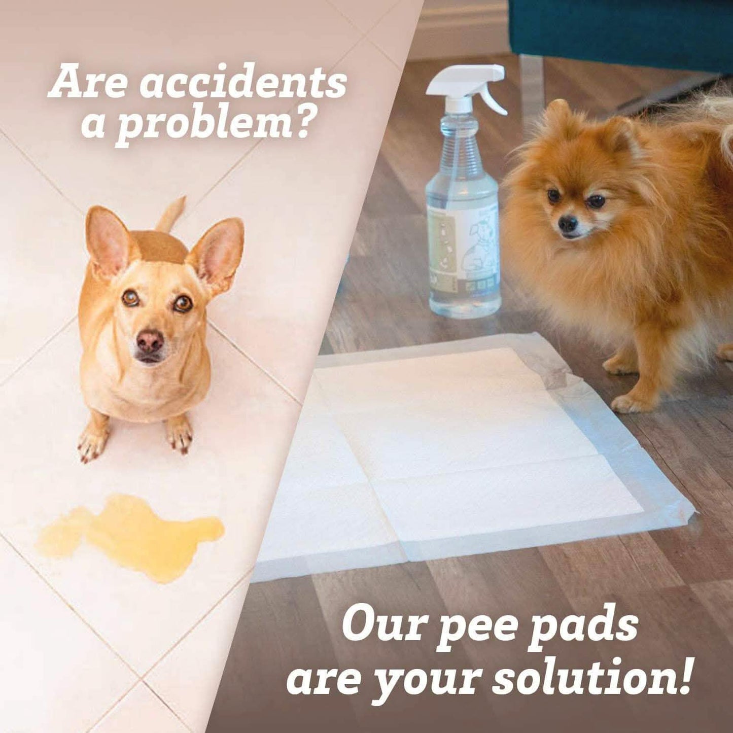 150-Pack: Puppy Pads Dog Pee Pad for Potty Training Dogs & Cats DailySale