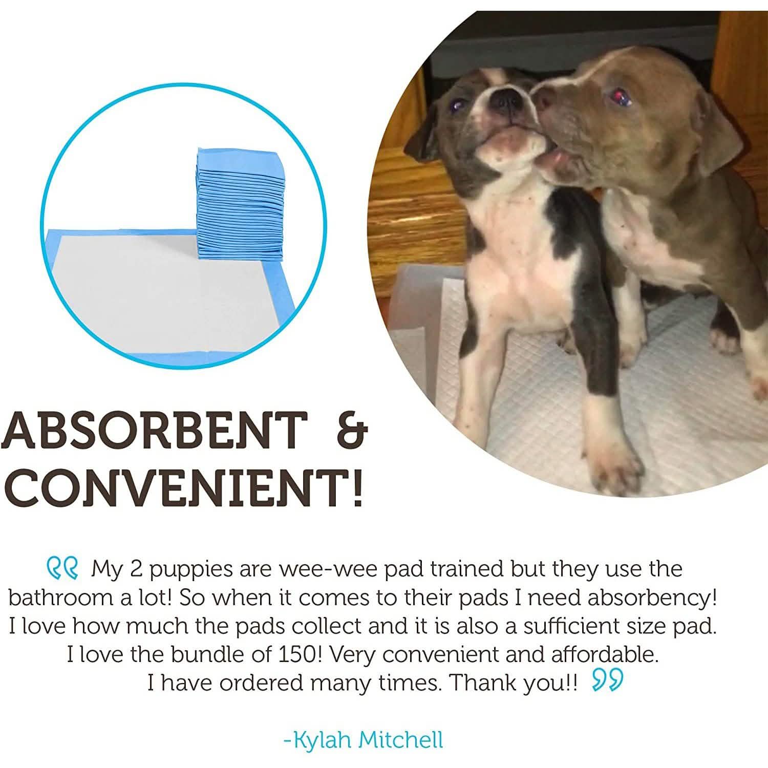 150-Pack: Puppy Pads Dog Pee Pad for Potty Training Dogs & Cats DailySale