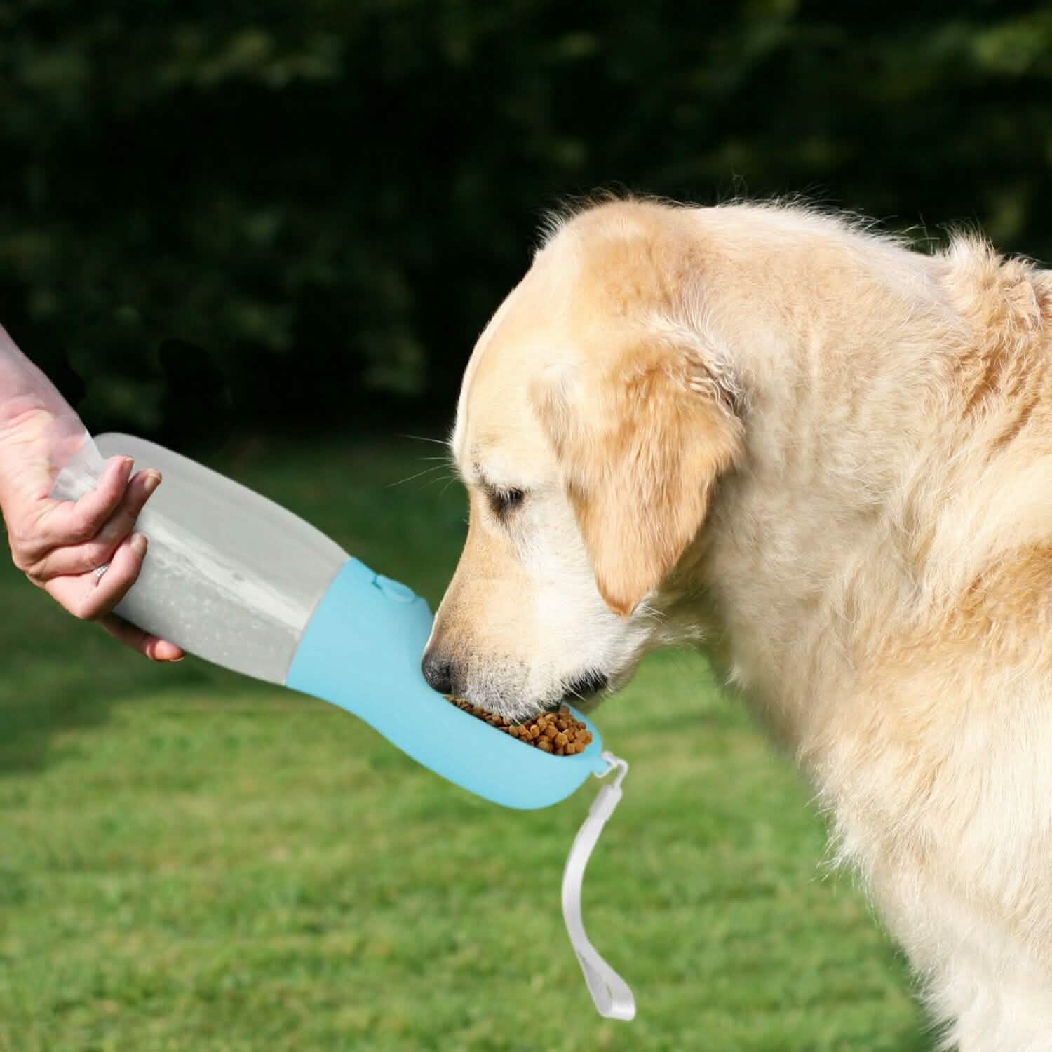 18.6 oz Portable Dog Water Dispenser with Detachable Food Container DailySale