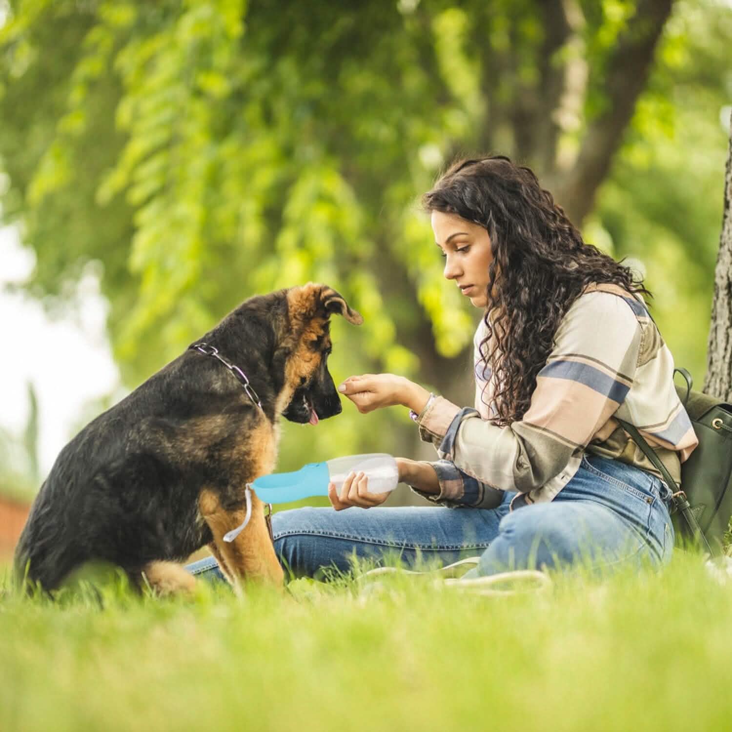 18.6 oz Portable Dog Water Dispenser with Detachable Food Container DailySale