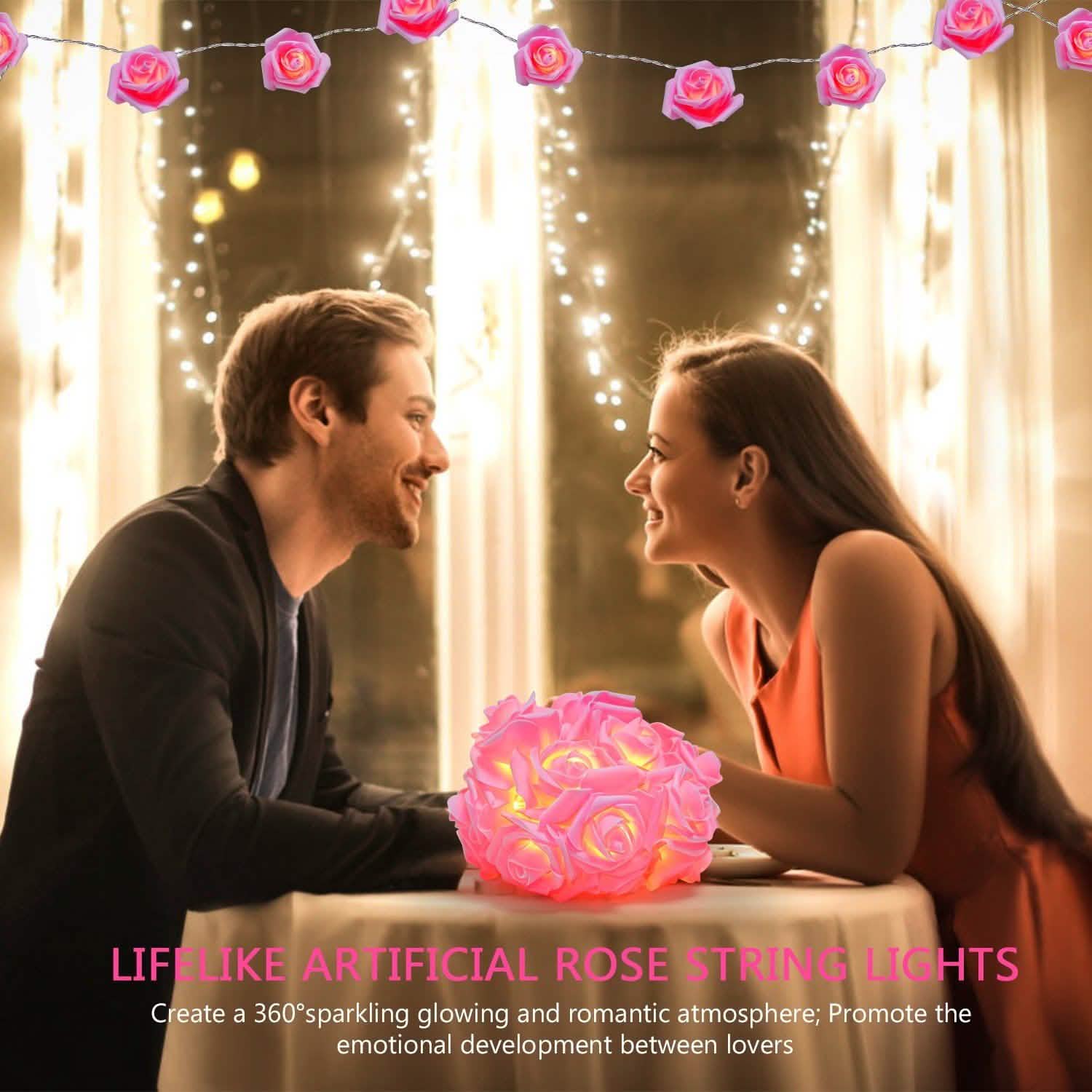 2-Pack: 40 LEDs Rose Flower String Lights DailySale