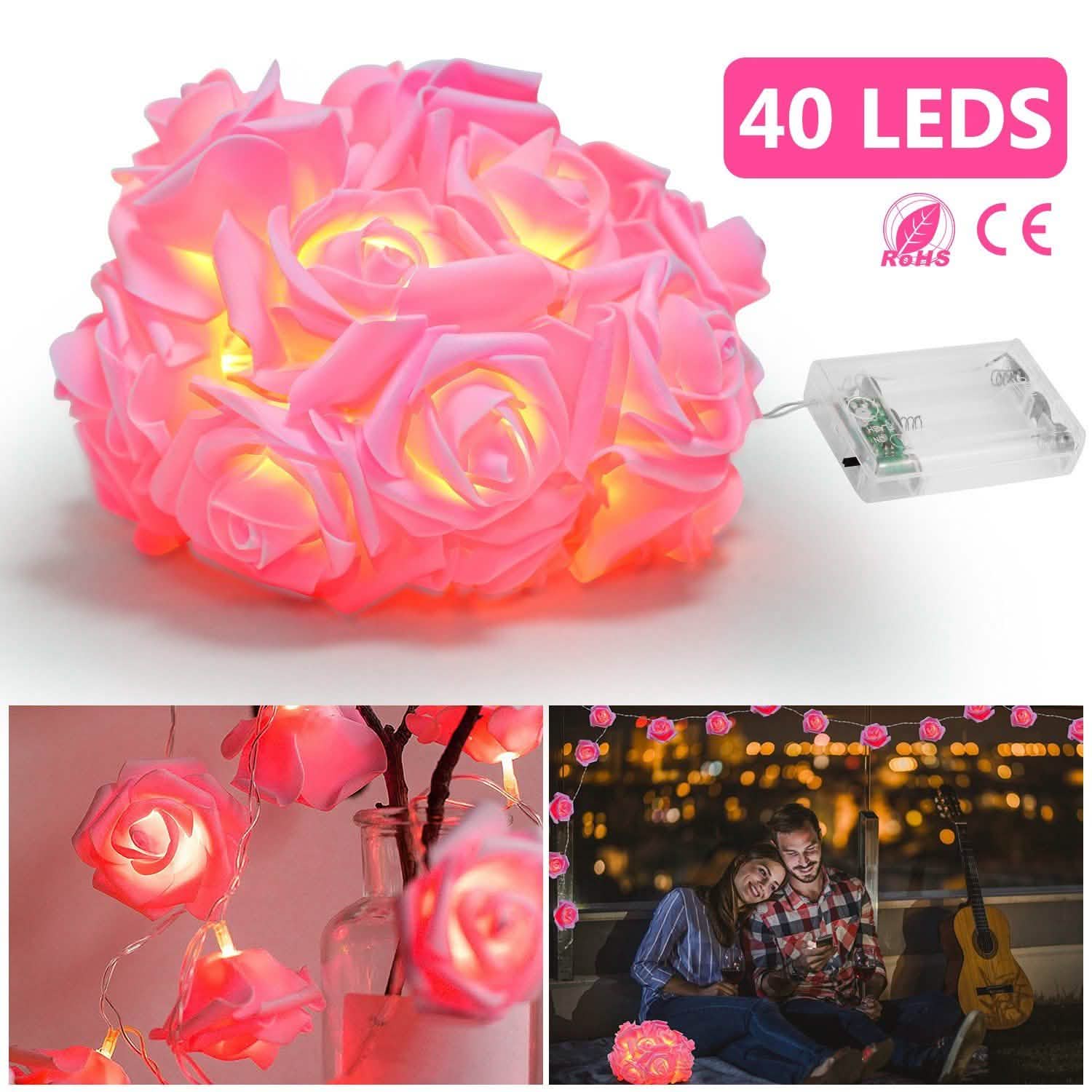 2-Pack: 40 LEDs Rose Flower String Lights DailySale