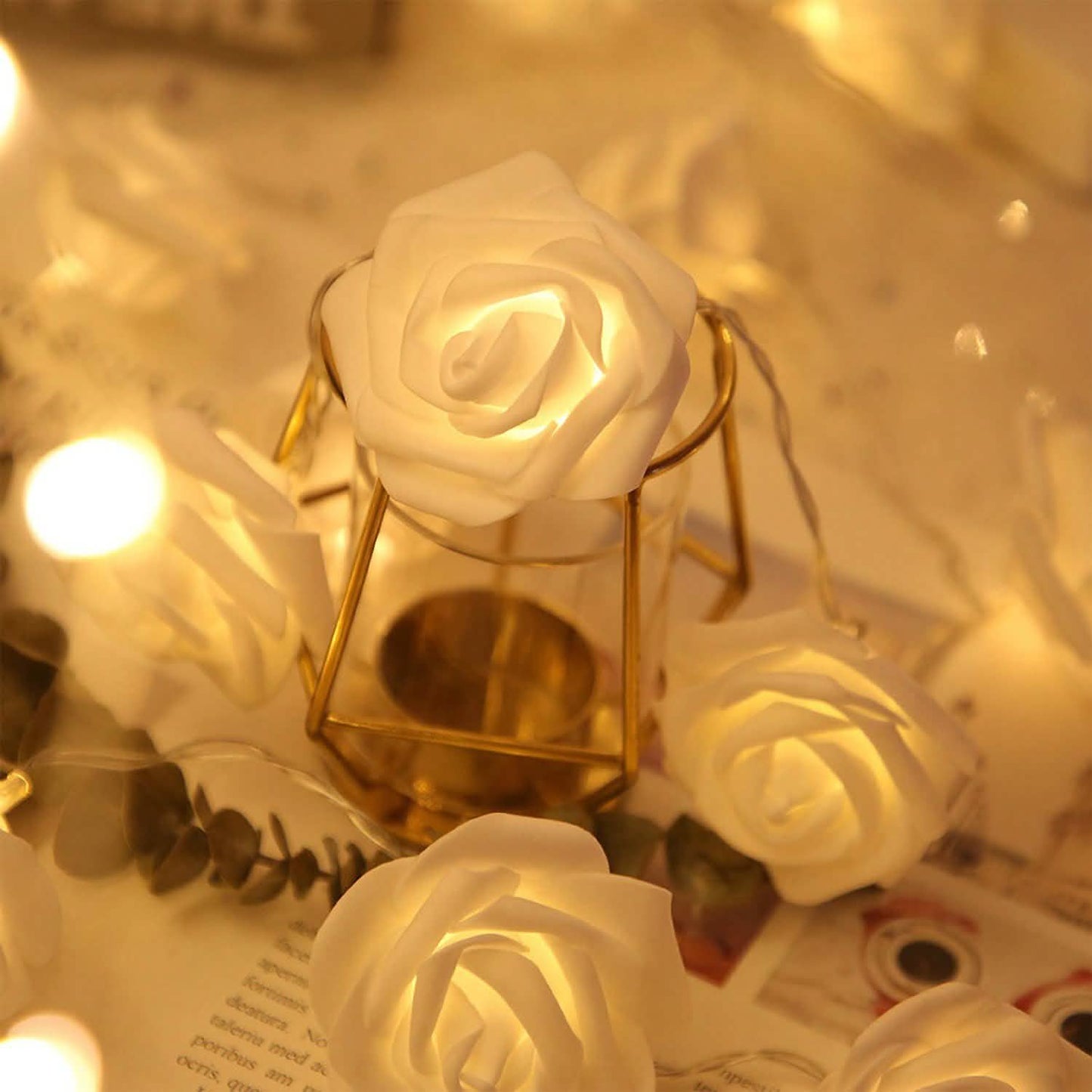 2-Pack: 40 LEDs Rose Flower String Lights DailySale