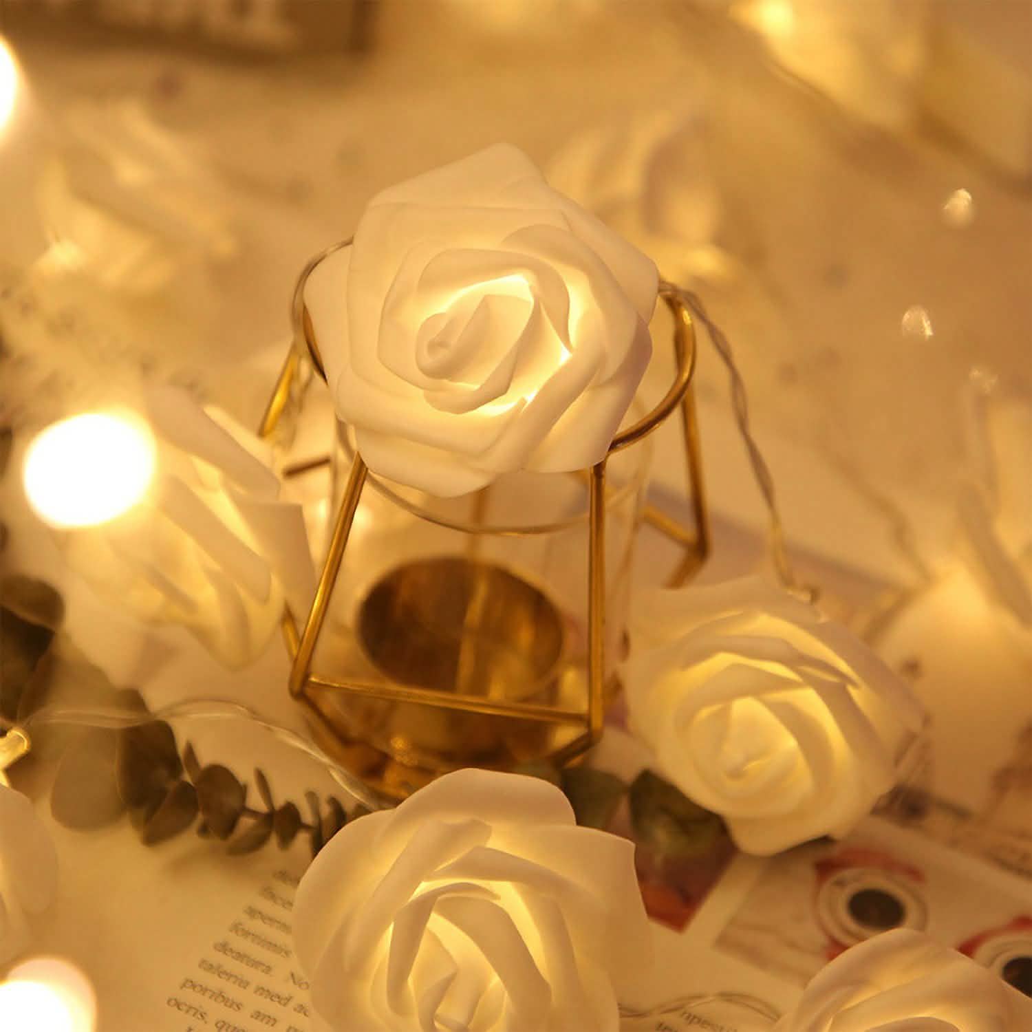 2-Pack: 40 LEDs Rose Flower String Lights DailySale