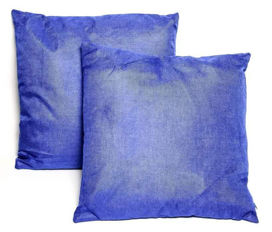 2-Pack: Blue Throw Pillows DailySale
