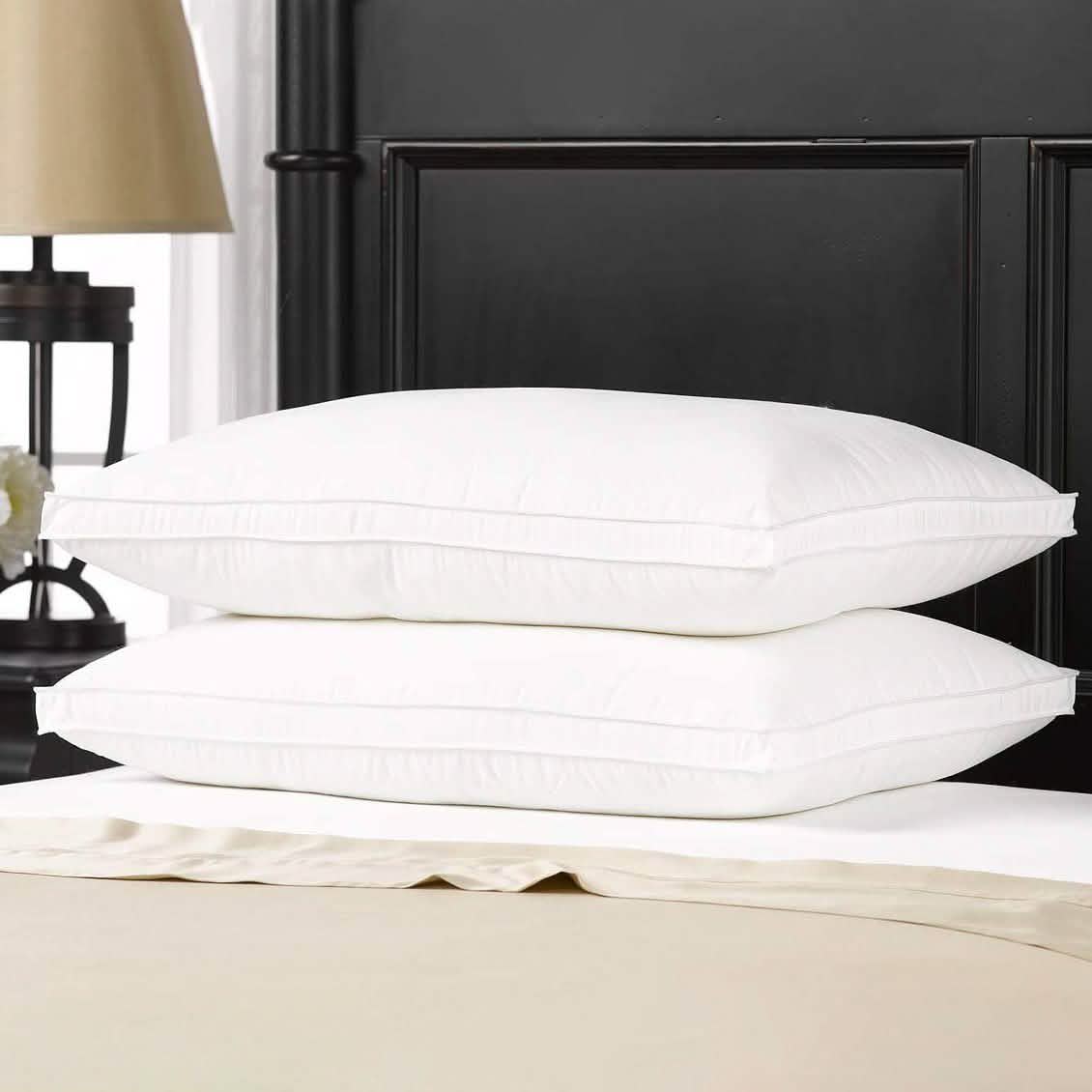 2-Pack: DownSupply Firm Gusseted Gel Fiber Pillows DailySale