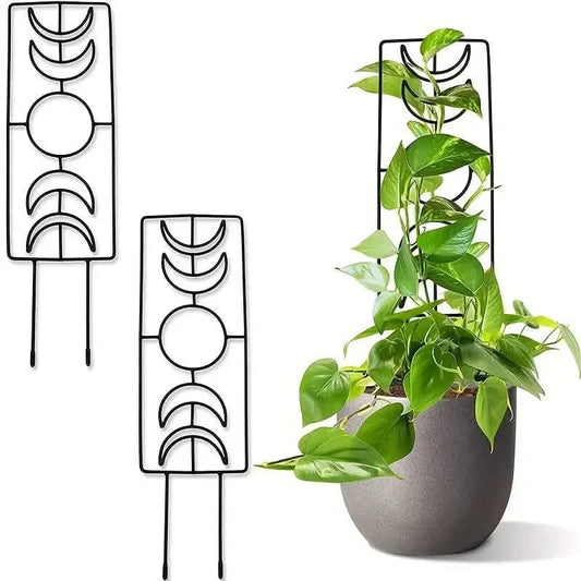 2-Pack: Metal Plant Trellis for Climbing Plants Indoor DailySale