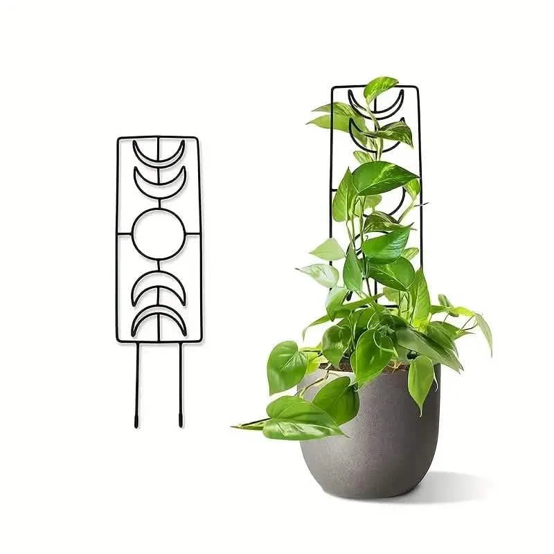 2-Pack: Metal Plant Trellis for Climbing Plants Indoor DailySale