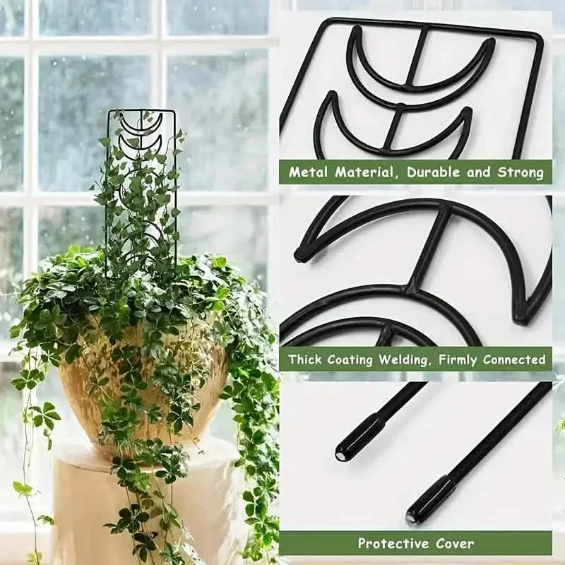 2-Pack: Metal Plant Trellis for Climbing Plants Indoor DailySale