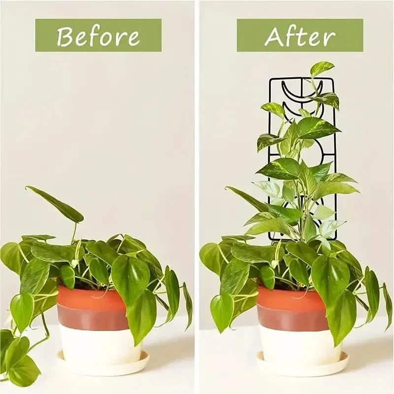 2-Pack: Metal Plant Trellis for Climbing Plants Indoor DailySale