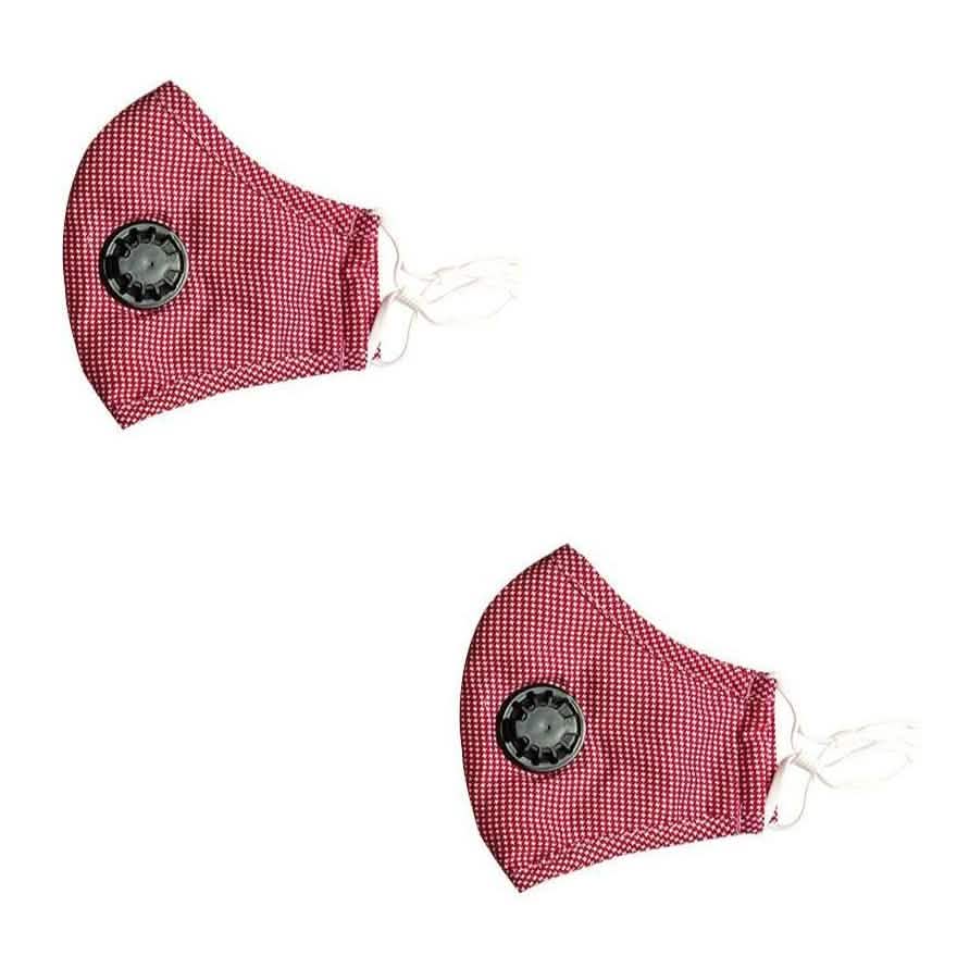 2-Pack: Multilayer Non-Medical Reusable Face Mask with Filter DailySale