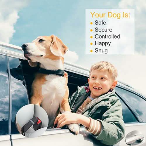 2-Pack: Multipurpose Pet Safety DailySale