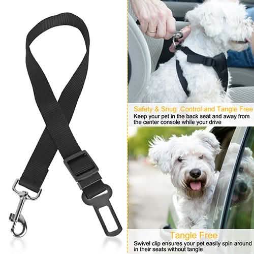 2-Pack: Multipurpose Pet Safety DailySale