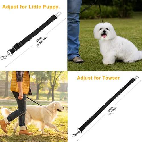 2-Pack: Multipurpose Pet Safety DailySale