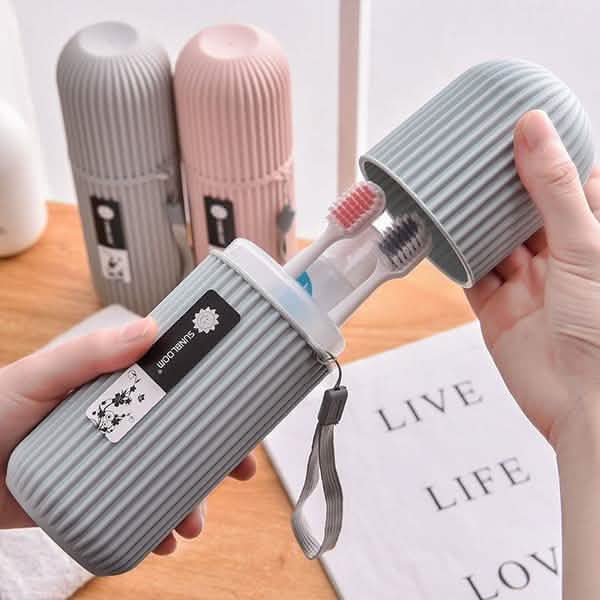 2-Pack: Portable Dental Storage Box DailySale