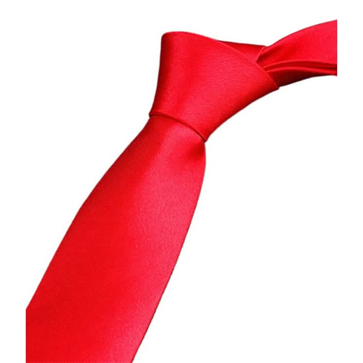 2-Pack: Solid Colored Pure Color Neck Ties DailySale