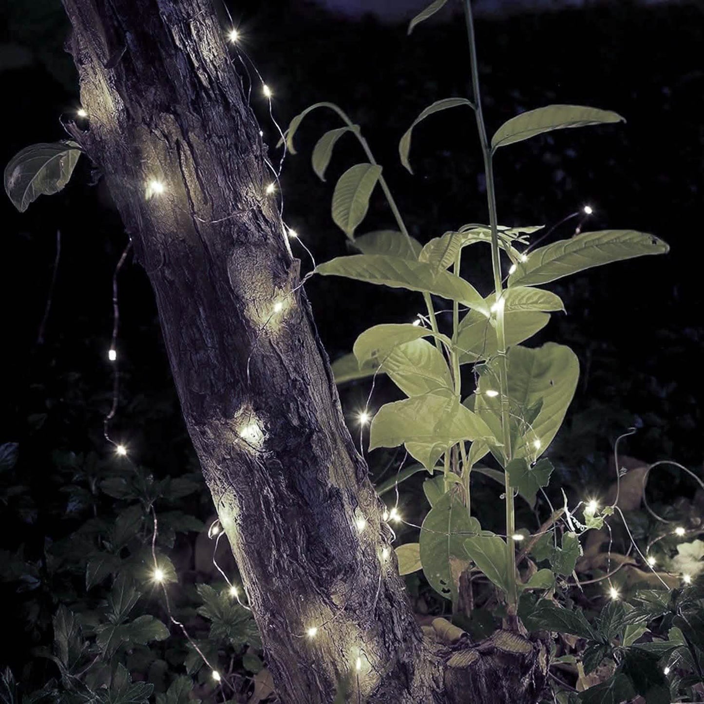 2-Piece: 100LED Beads String Lights DailySale