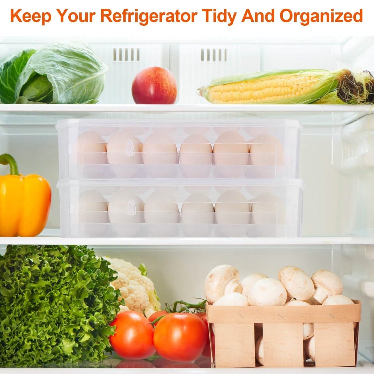 2-Piece: Plastic Egg Holder Stackable Egg Storage Box DailySale