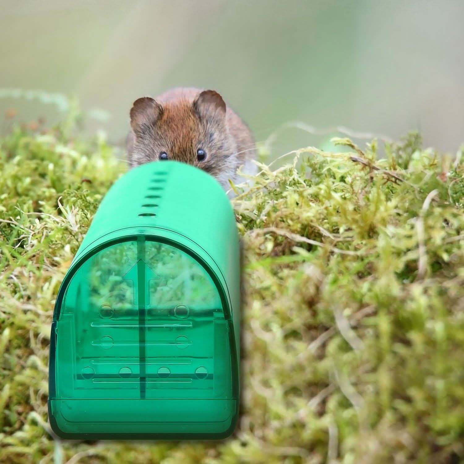 2-Pieces: Reusable Humane Mouse Trap DailySale
