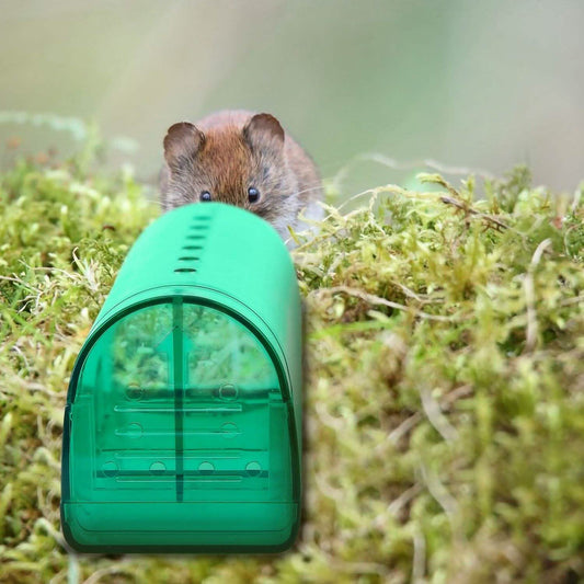 2-Pieces: Reusable Humane Mouse Trap DailySale