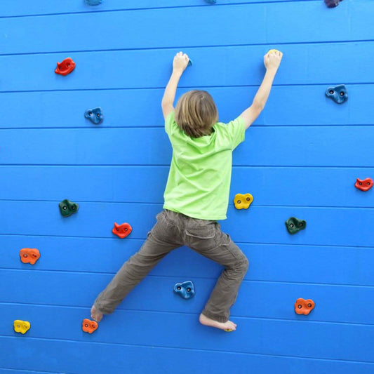 20-Piece: Climbing Wall Holds Indoor Outdoor Playground Set DailySale