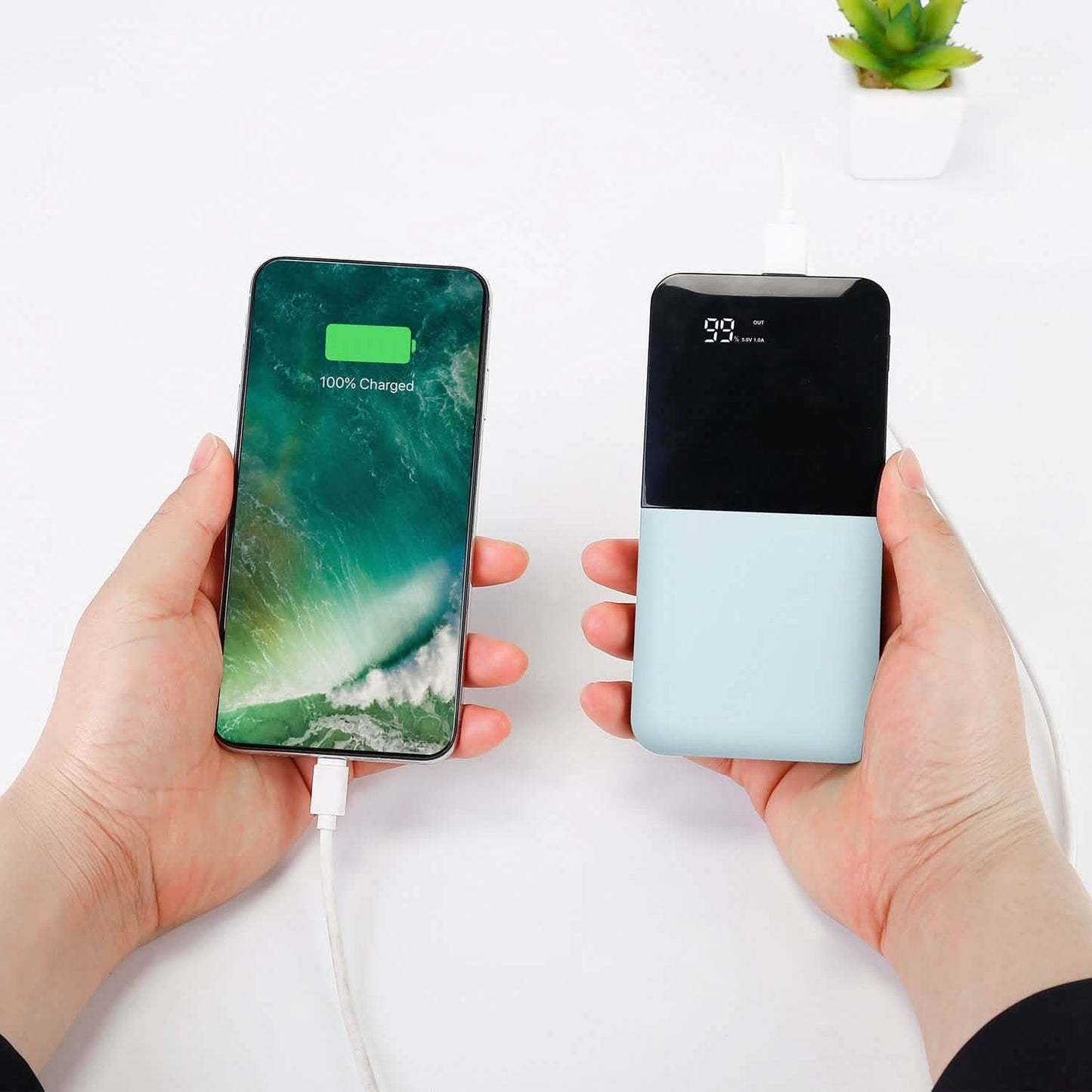 20000mAh Portable Charger Power Bank DailySale