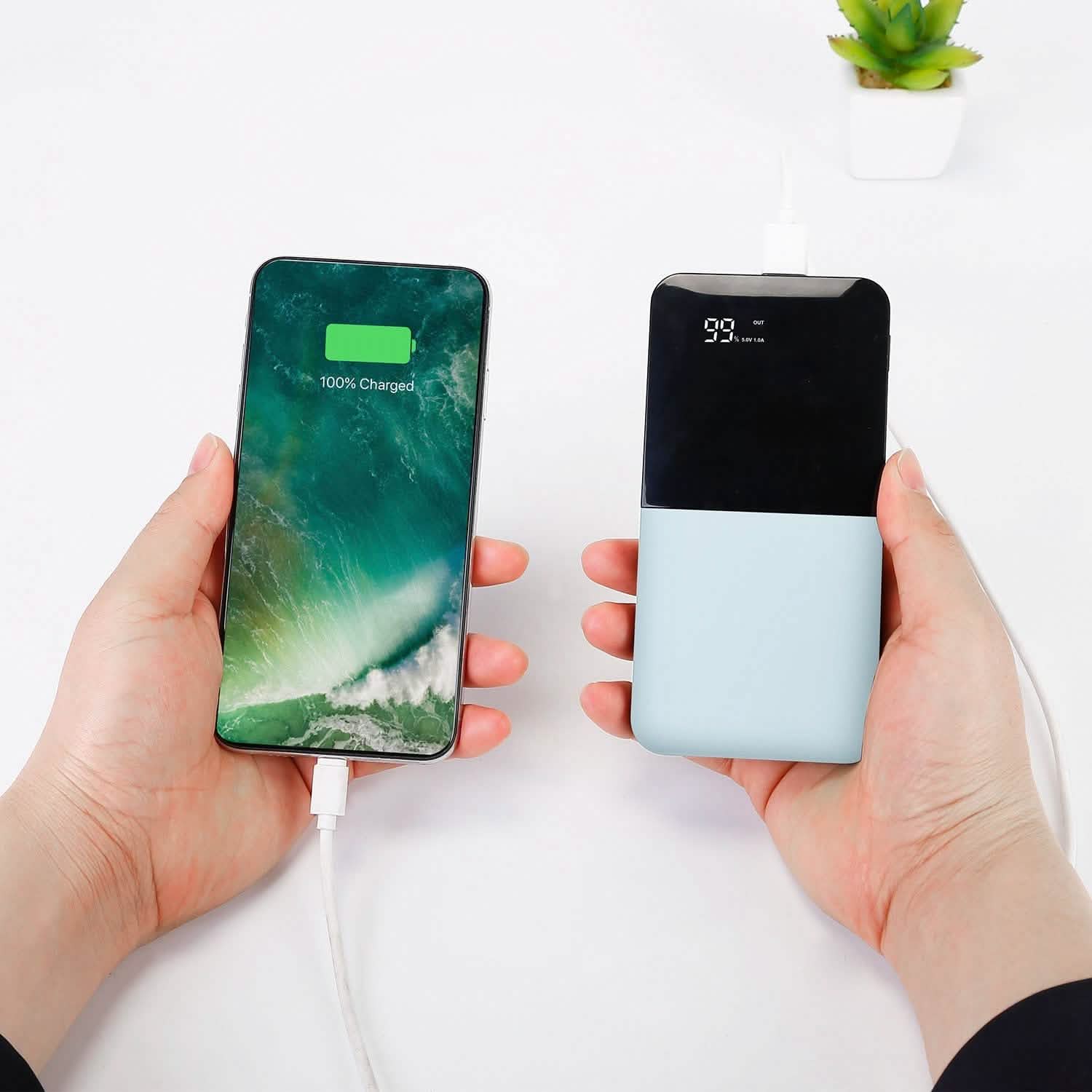 20000mAh Portable Charger Power Bank DailySale