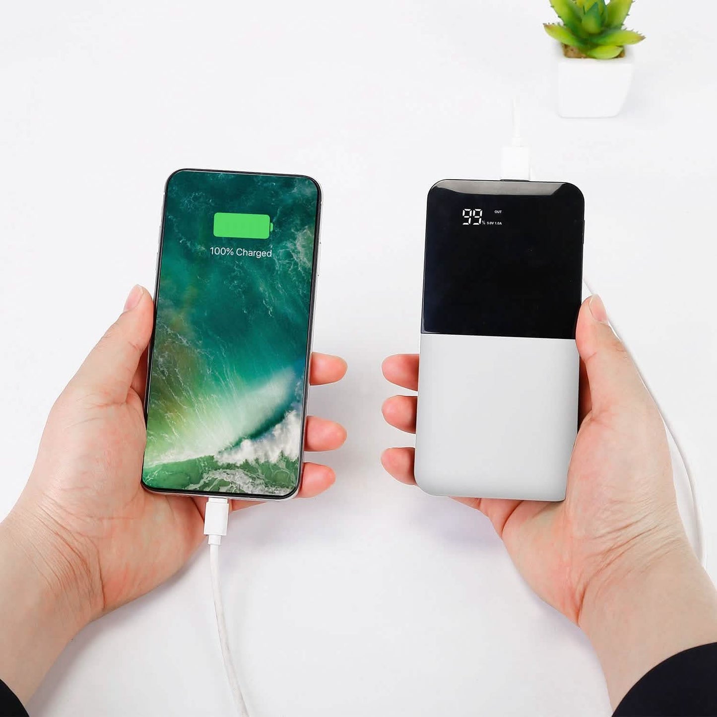 20000mAh Portable Charger Power Bank DailySale