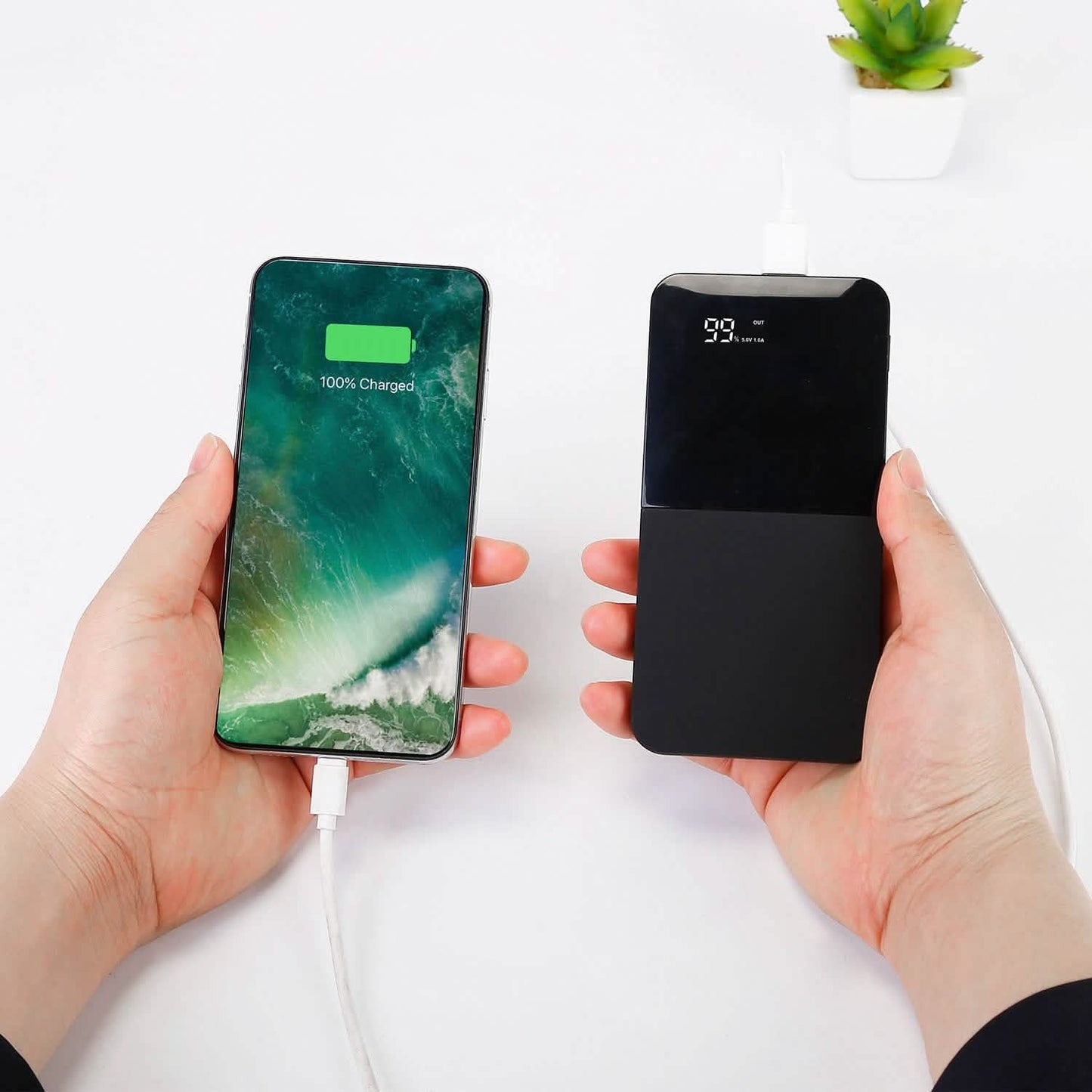 20000mAh Portable Charger Power Bank DailySale