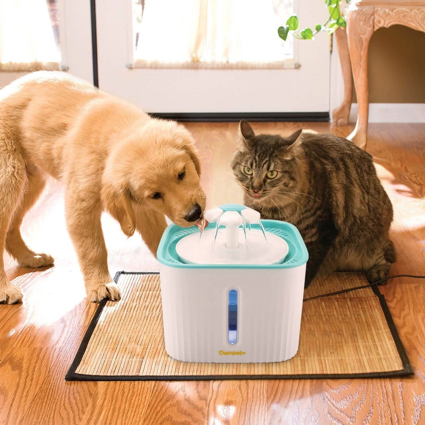 2.5L Super Quiet Cat Water Fountain Bowl Pet Drinking Dispenser DailySale