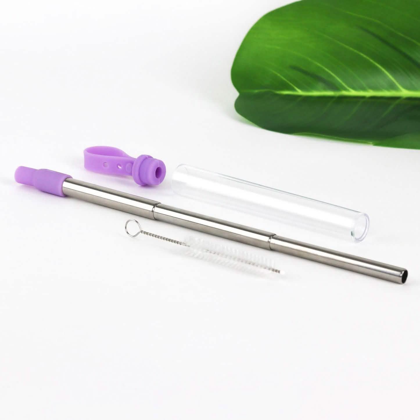 3-Pack: Expandable Steel Straw DailySale