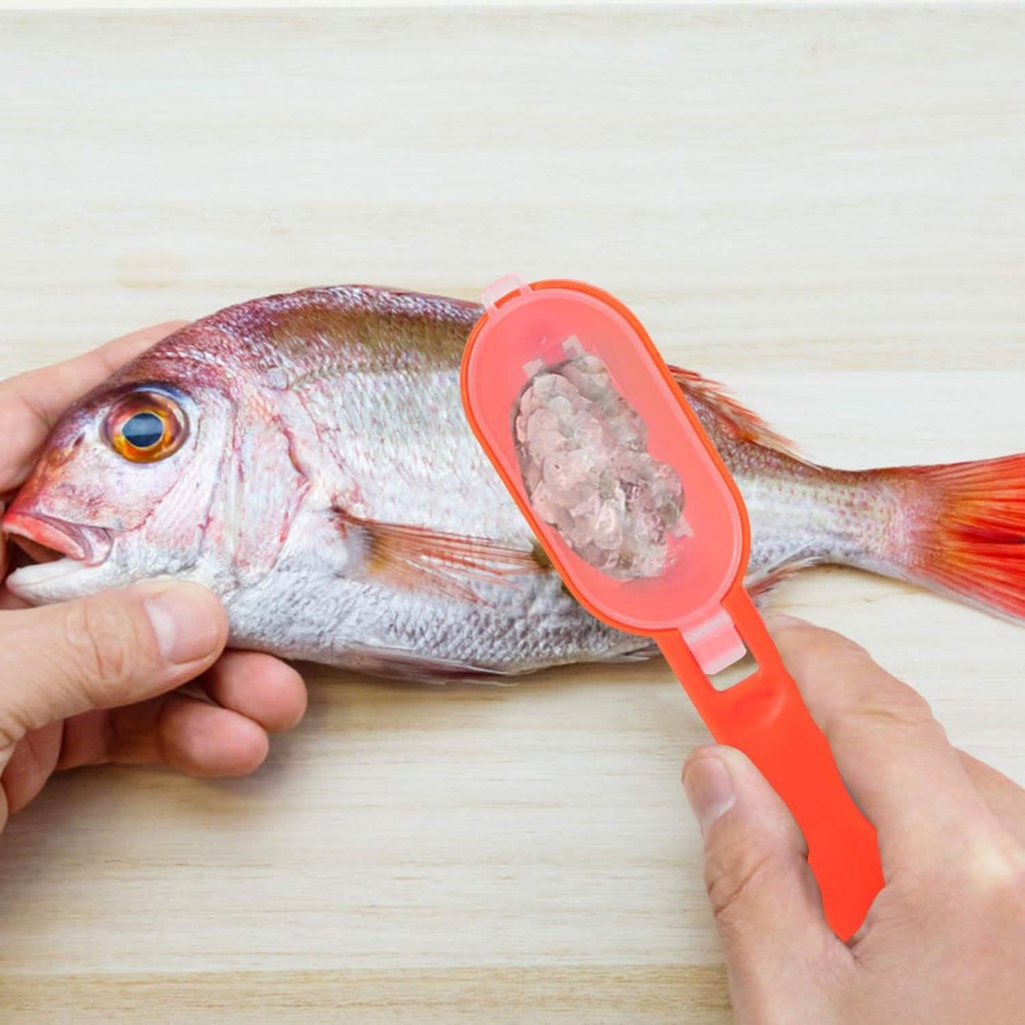 3-Piece: Fish Scale Remover DailySale