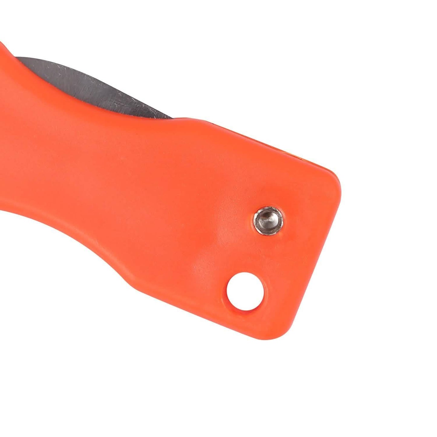 3-Piece: Fish Scale Remover DailySale