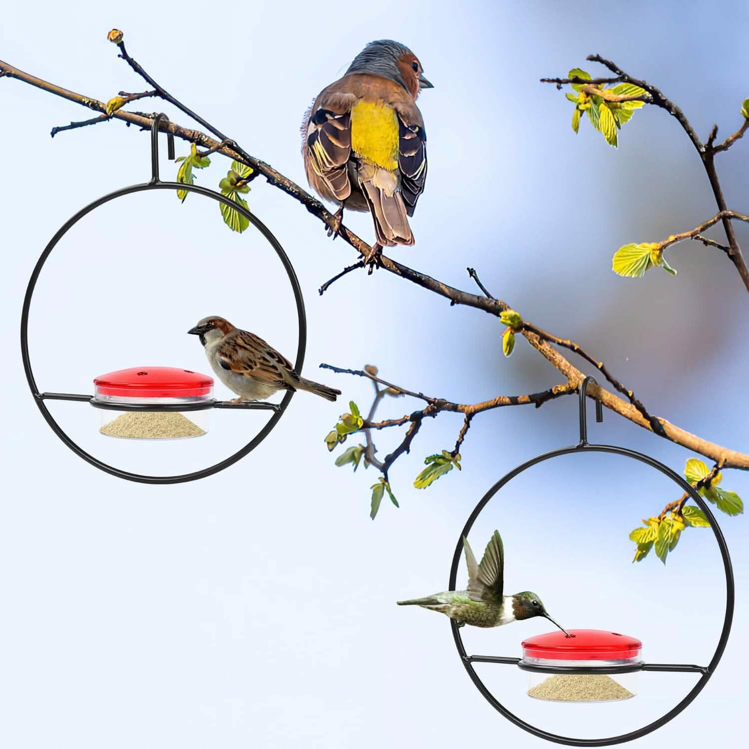 3-Pieces: Stackable Hanging Humming Bird Feeder with Metal Frame & Red Plastic Bowl DailySale