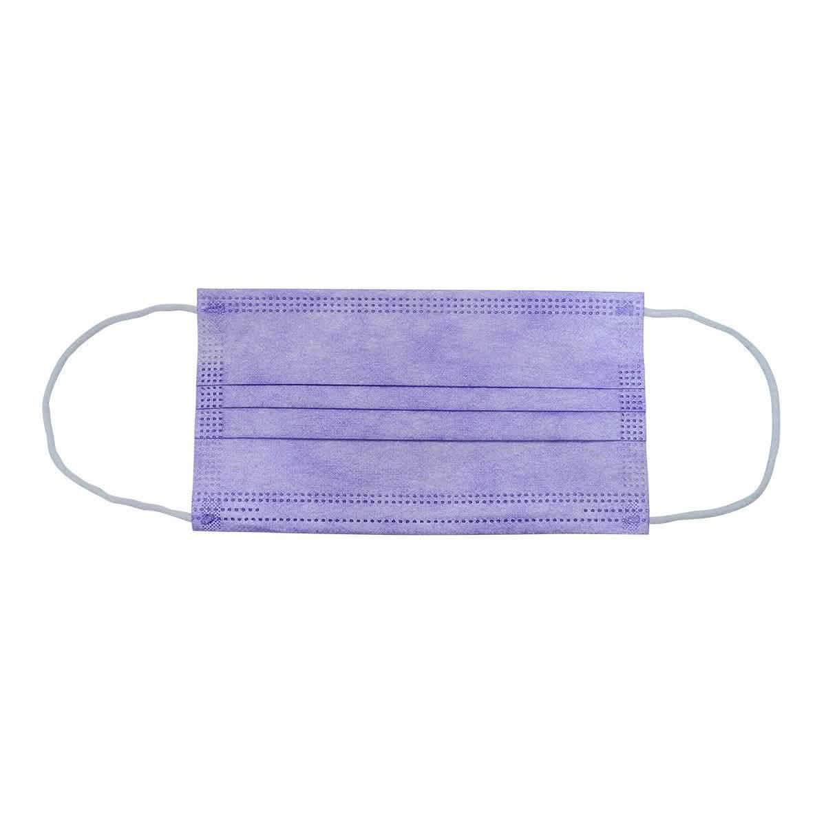 3-Ply Disposable Purple Mask DailySale