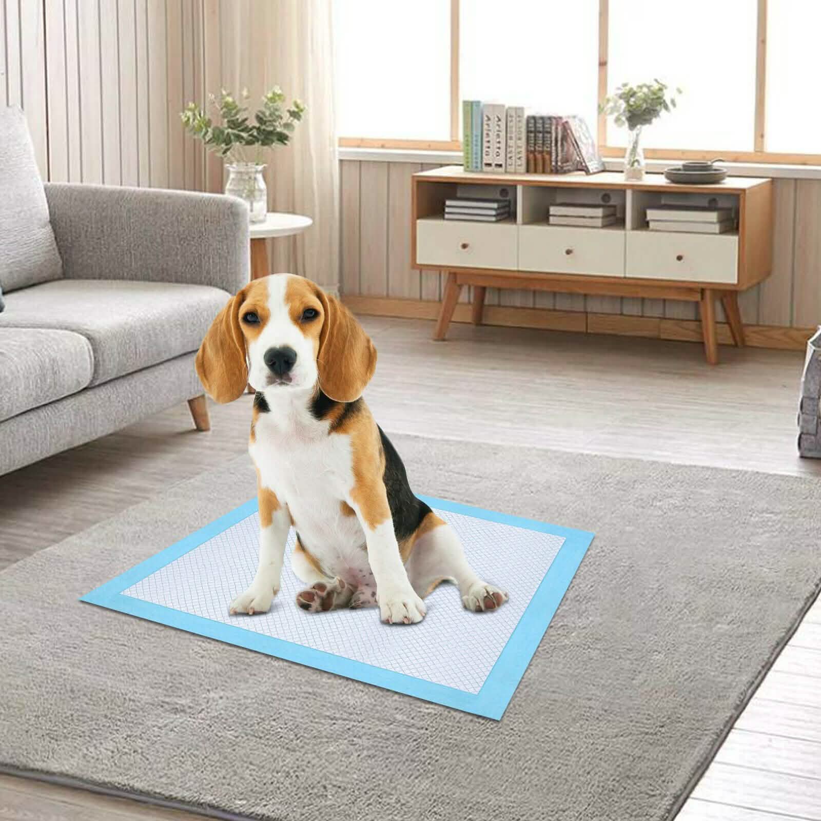 30-Piece: Ownpets Pet Dog Training Pads DailySale