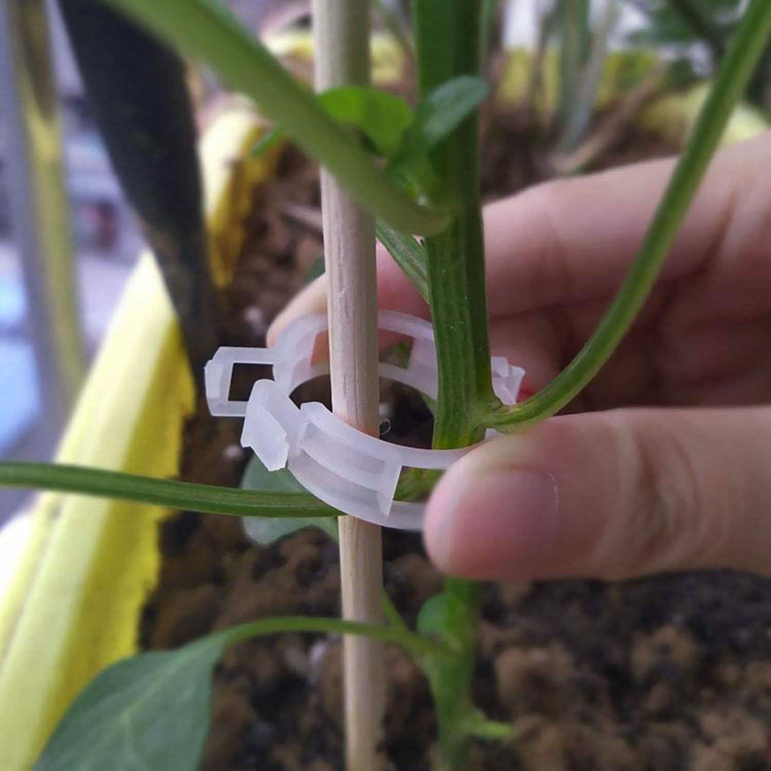 300-Pieces: Garden Plant Support Clips DailySale