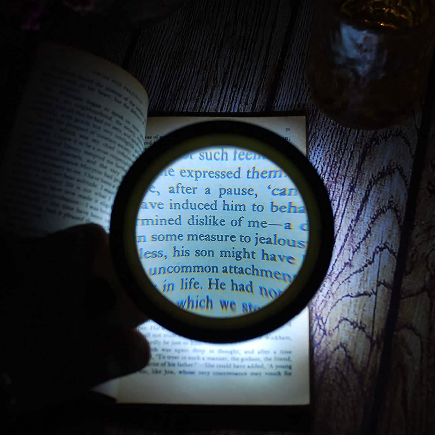 30X Handheld Large Magnifying Glass 12 LED Illuminated Lighted Magnifier DailySale